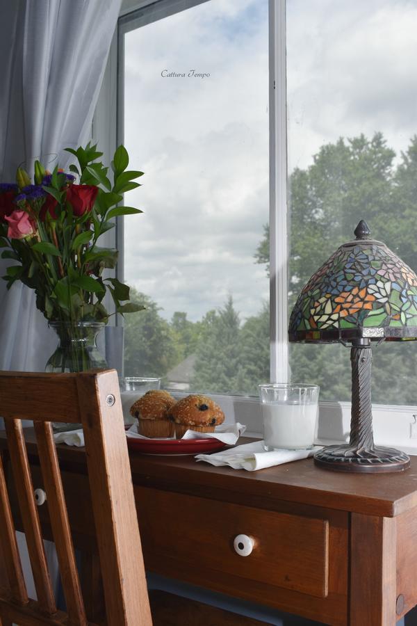 Winridge Manor Bed And Breakfast Madison Heights Buitenkant foto